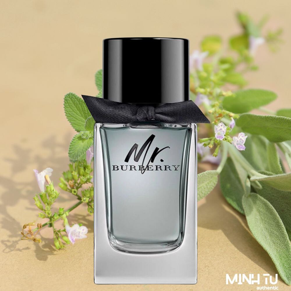 Nước hoa Nam Burberry Mr. Burberry EDT